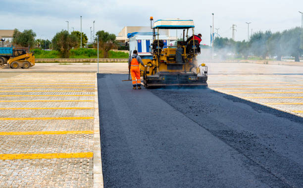 Best Local Driveway Pavers  in Citrus Springs, FL